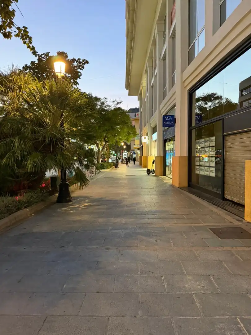 Gewerbefläche zum Verkauf in Avenida Ricardo Soriano 43