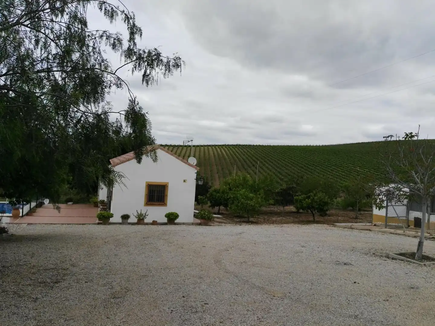 Vista exterior de Finca rústica en venda en Arcos de la Frontera amb Jardí privat i Piscina comunitària