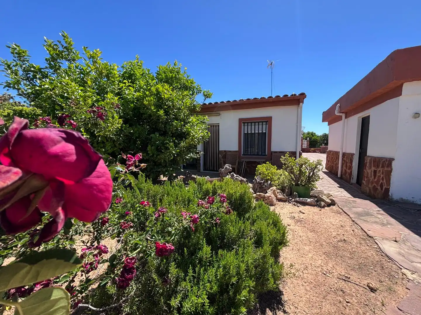 Jardín de Casa o chalet en venta en Torrent con Jardín privado, Piscina y Amueblado