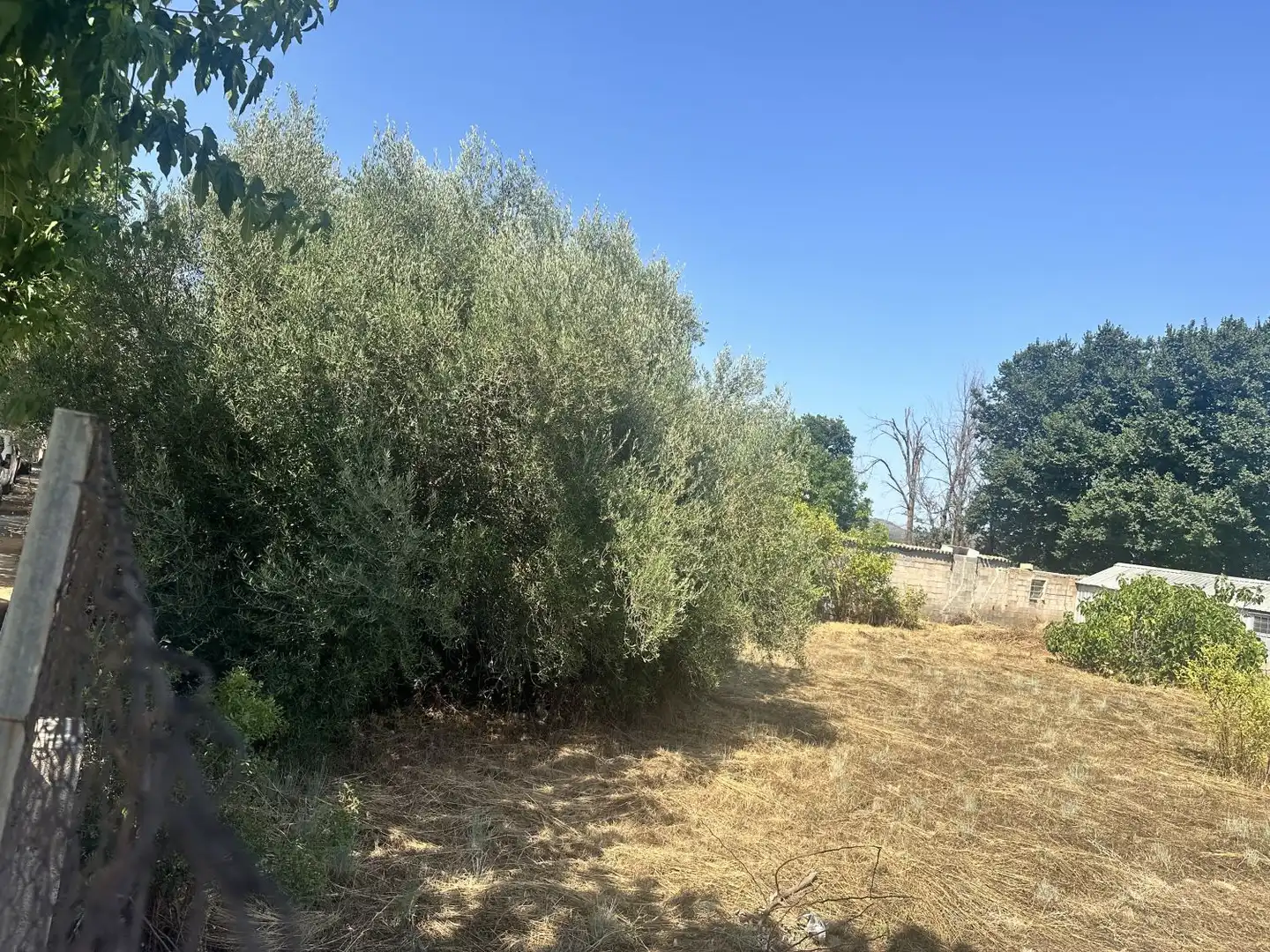 Terreno residencial en venta en Algímia de Alfara, imagen 6