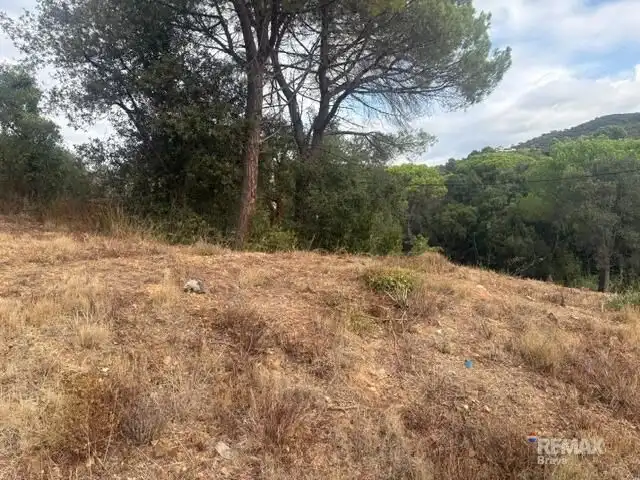 Terrenys i solars en venda a Calle CL HORT VELL, imagen 7