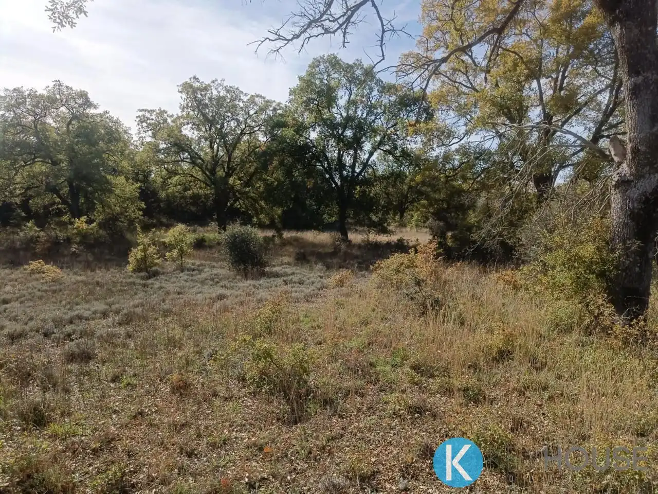 Land for sale in Pastrana