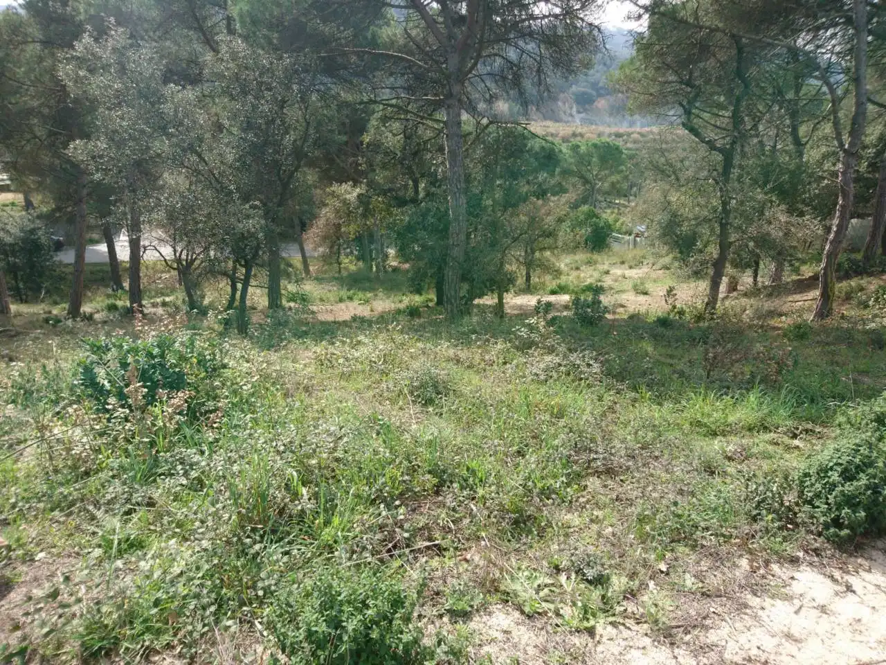 Terreny residencial en venda a Vilanova del Vallès, imagen 19