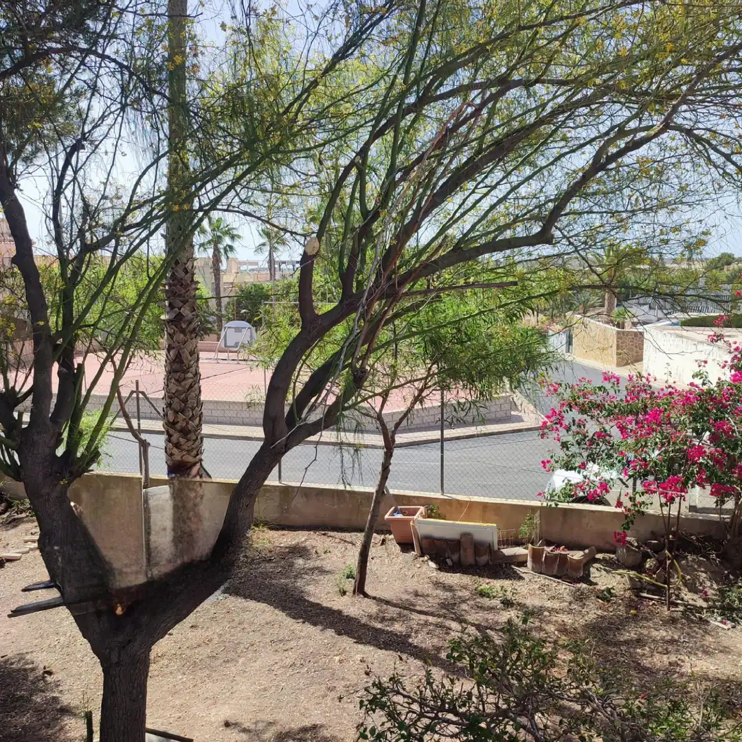 Vista exterior de Finca rústica en venda en Algorfa amb Jardí privat