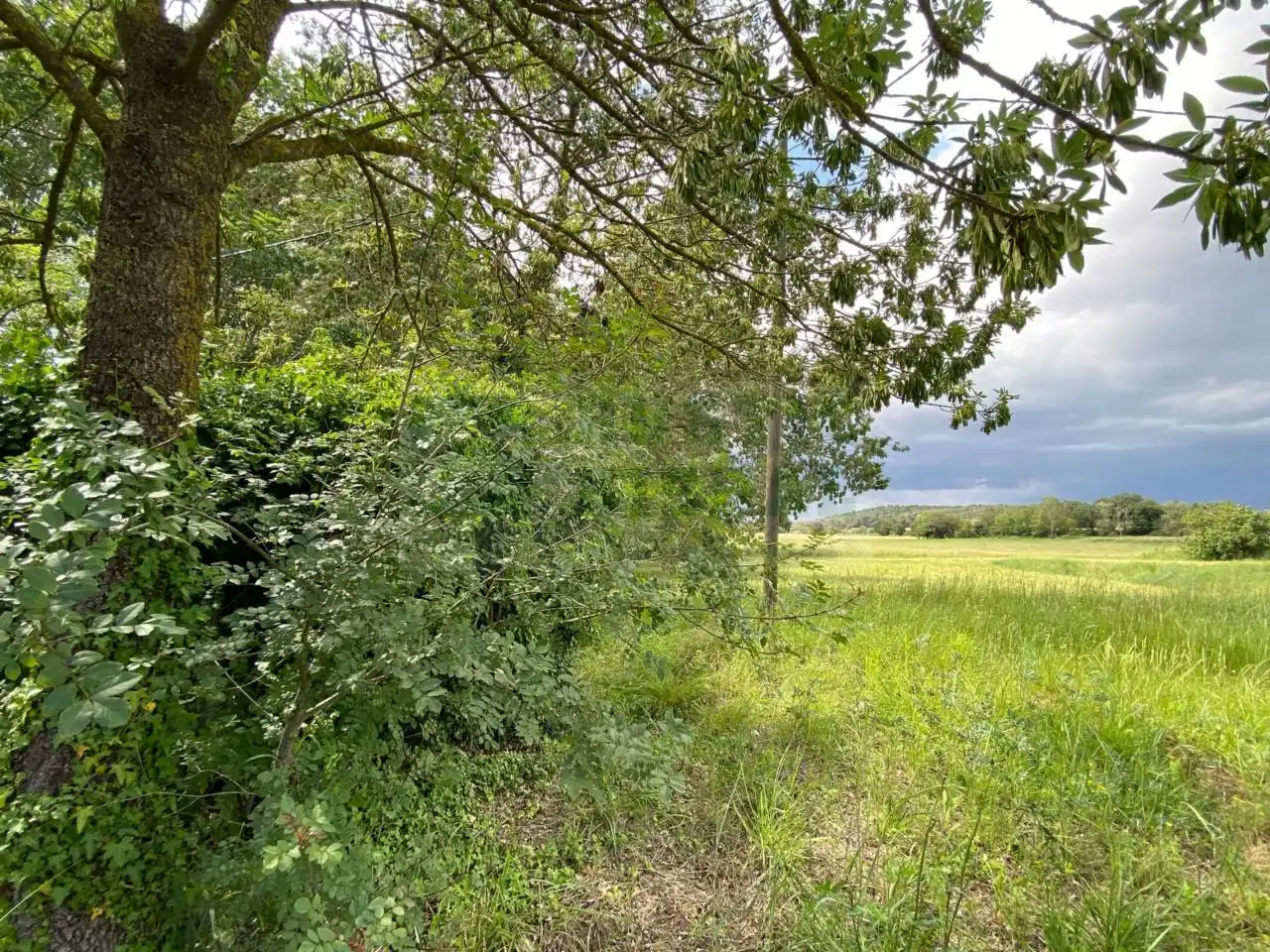 Finca rústica en venta en La Pera