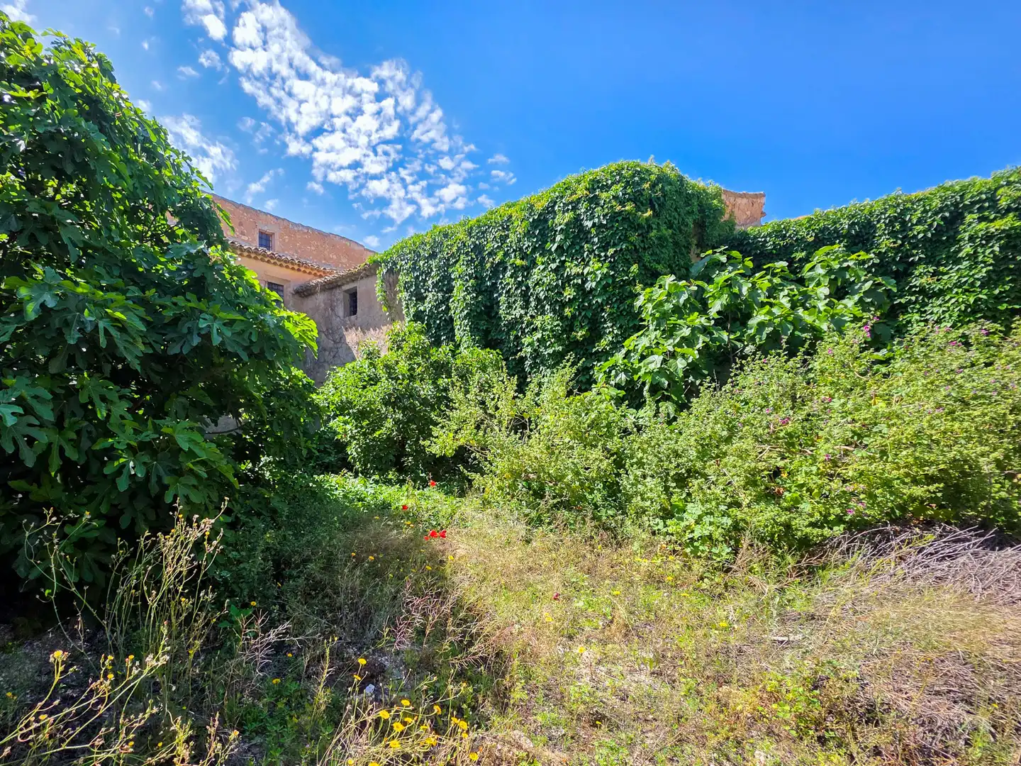 Casa rustica in vendita a El Pinós / Pinoso, imagen 42