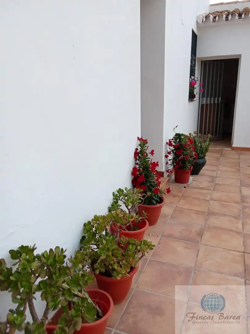Terrace of Country homes for sale in Mijas