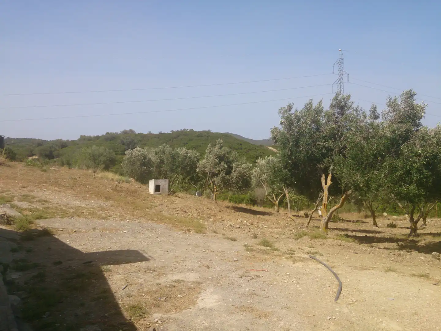 Terreny rústic en venda a Medina Sidonia, imagen 14
