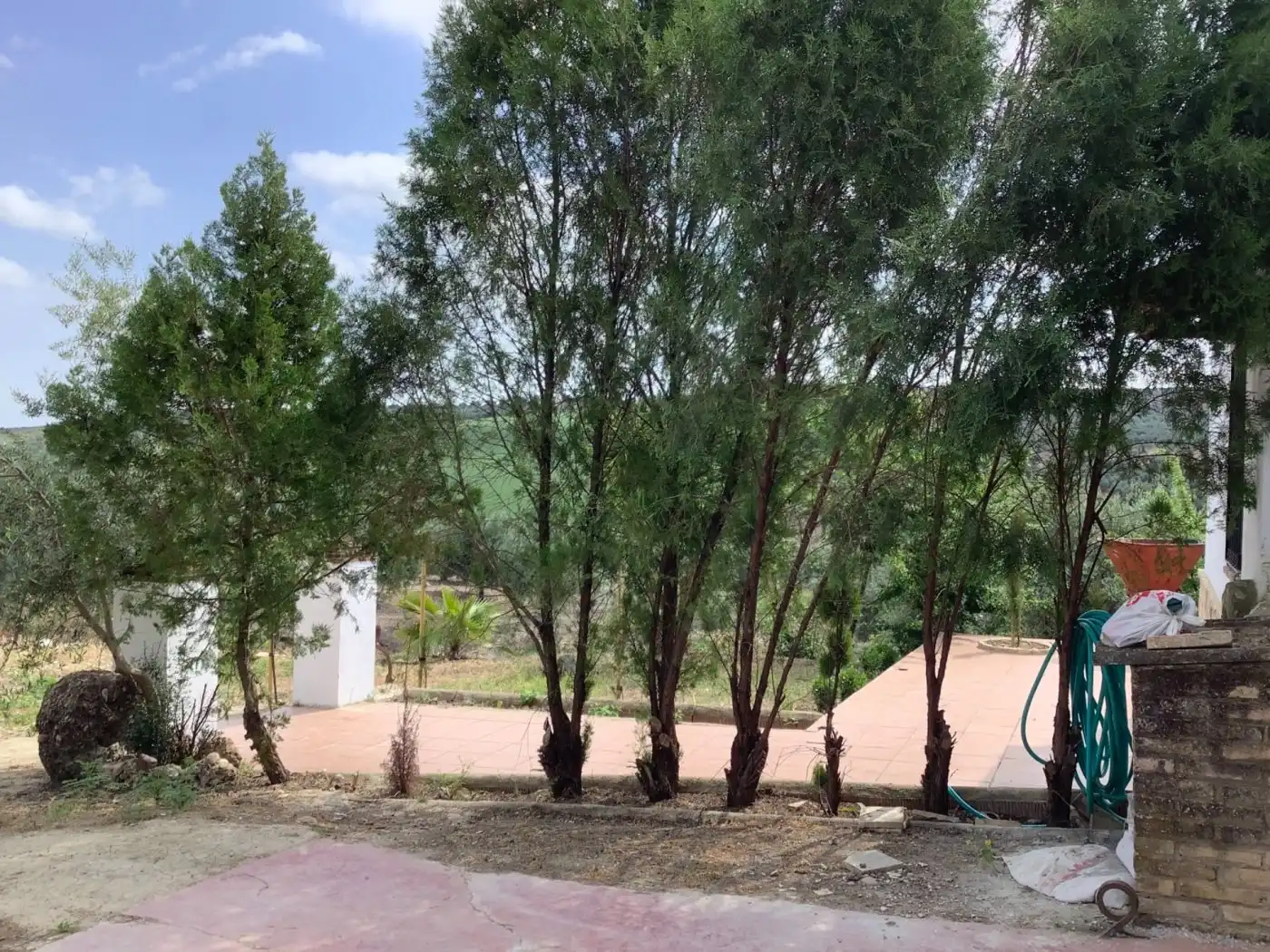 Casa rústica en venta en Montoro, imagen 44