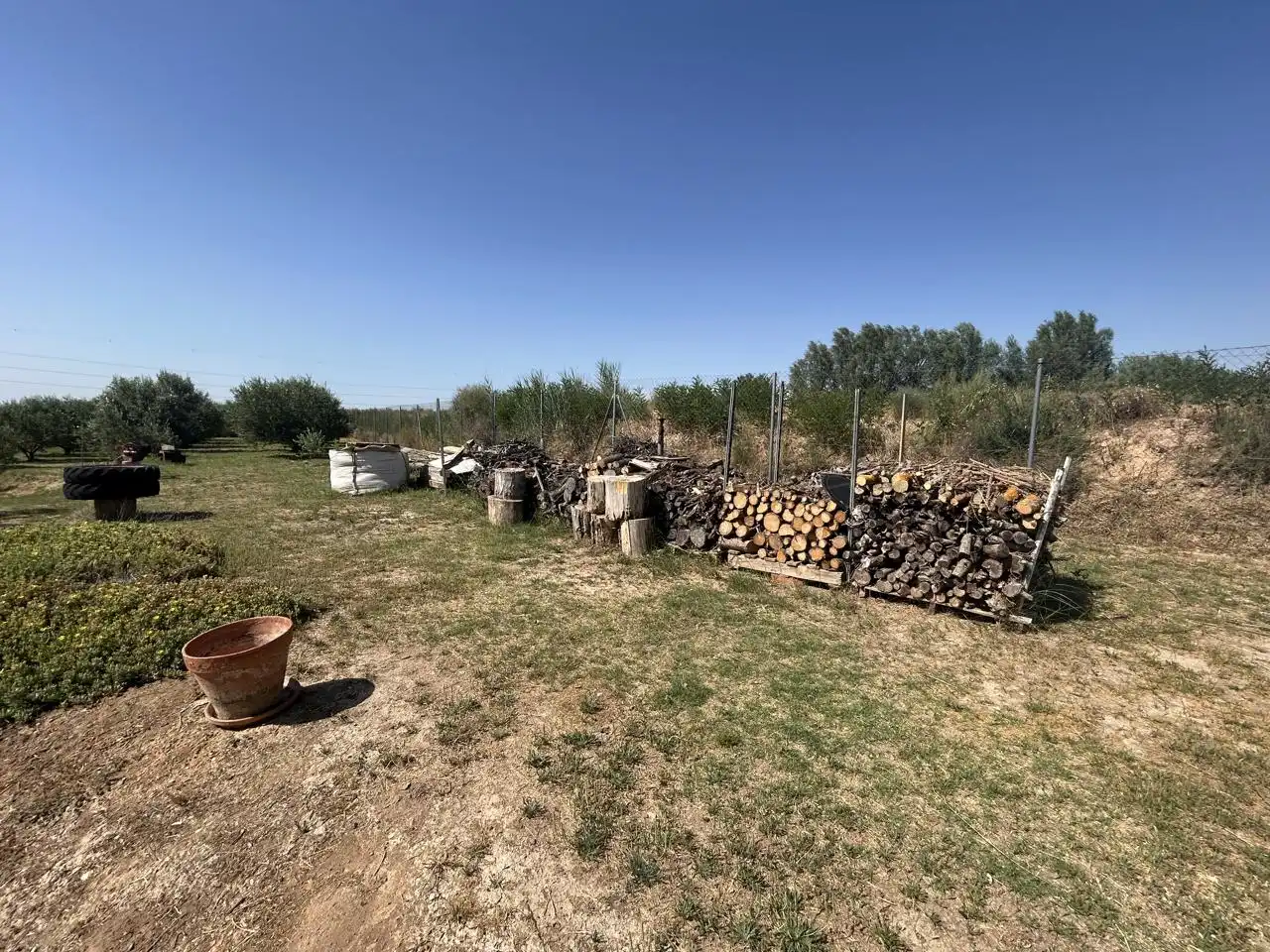 Country homes for sale in Corella  with Private garden, Terrace and Storage room