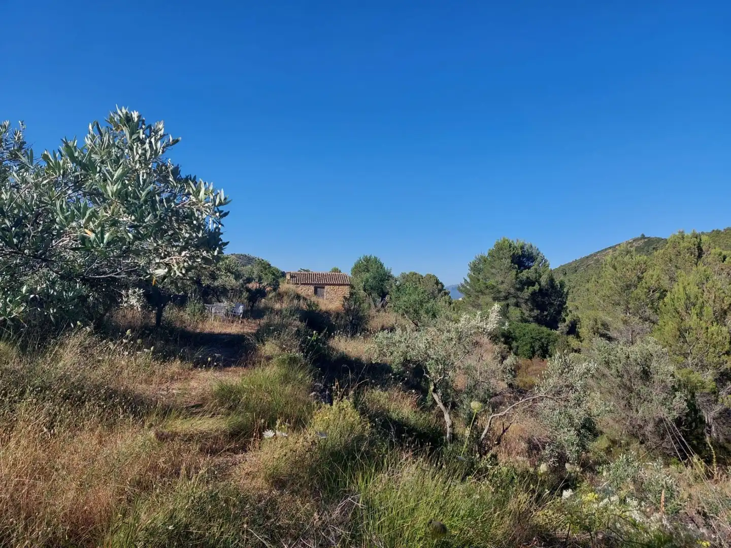 Terrenys i solars en venda a Xaló, imagen 5