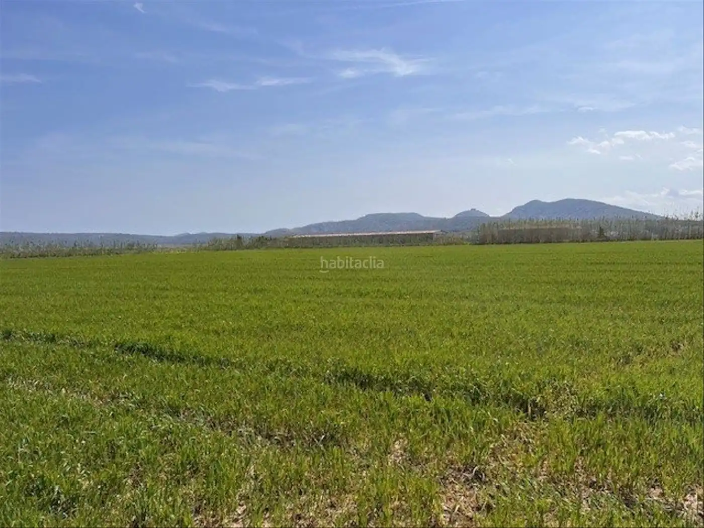 Rural land for sale in Camí Horts de Sant Joan 14, imagen 7