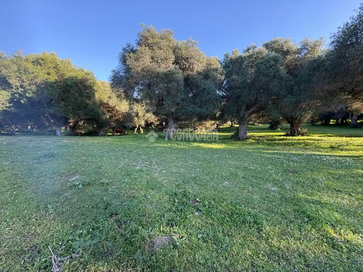 Terreno en venta en Barbate