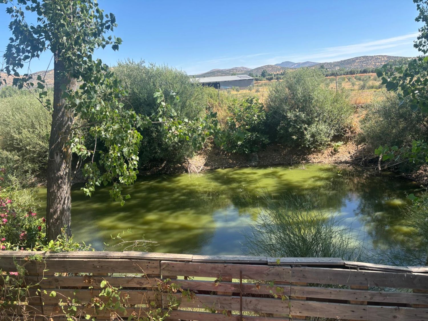 Vista exterior de Casa o chalet en venta en Malagón