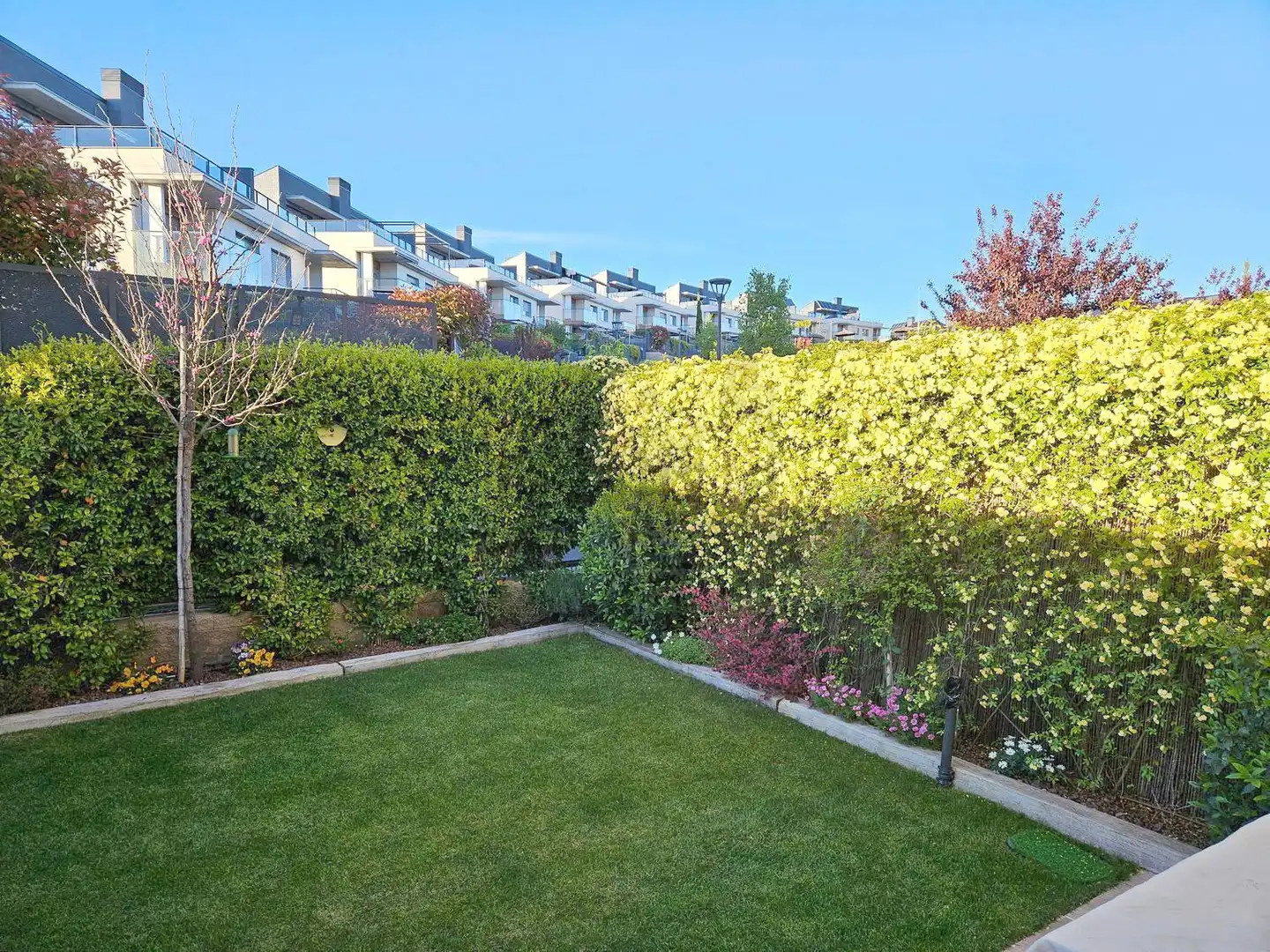 Detached homes for rent in Calle Francisco de Vitoria, Valenoso