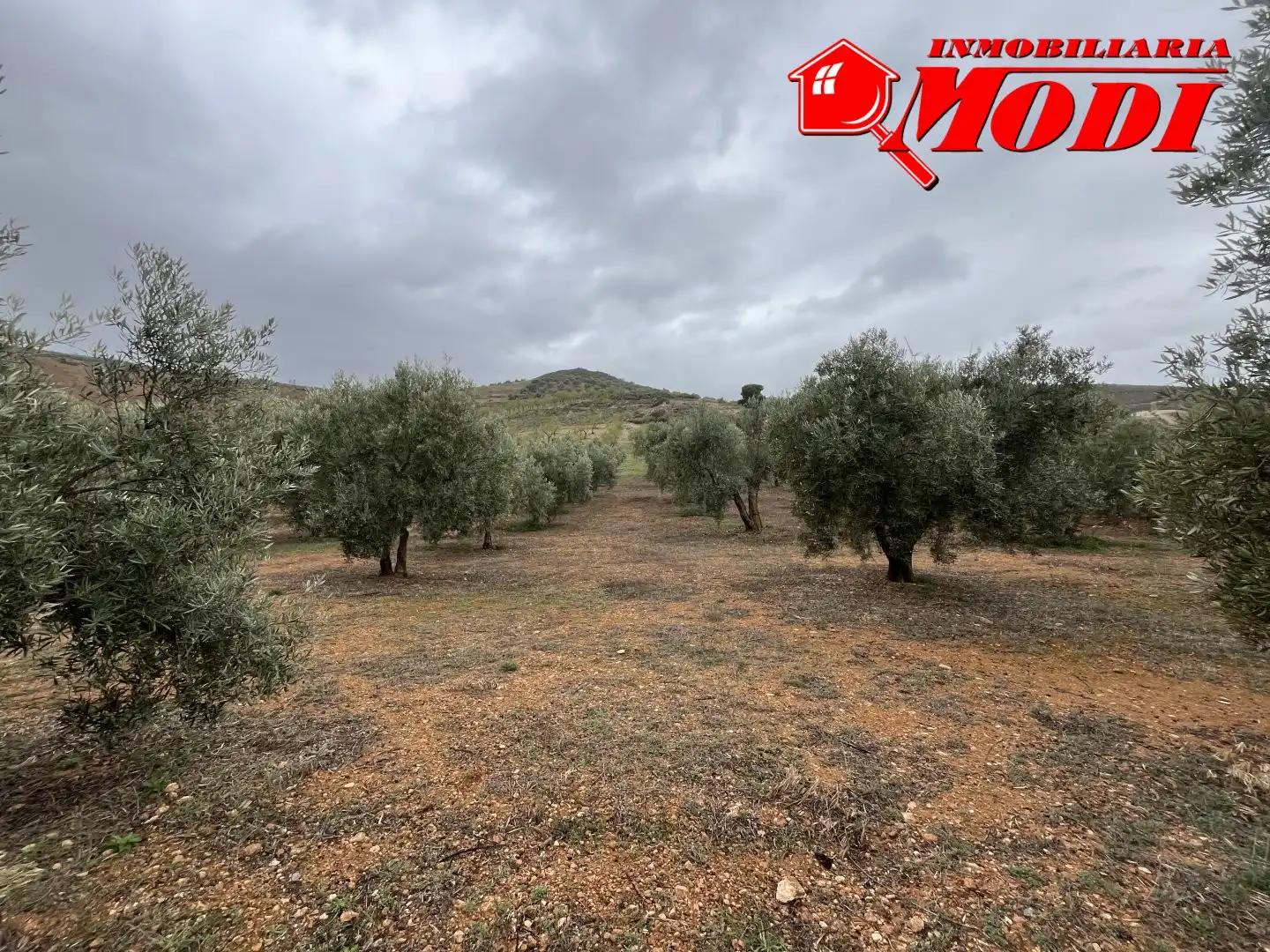 Residencial en venta en Albuñuelas