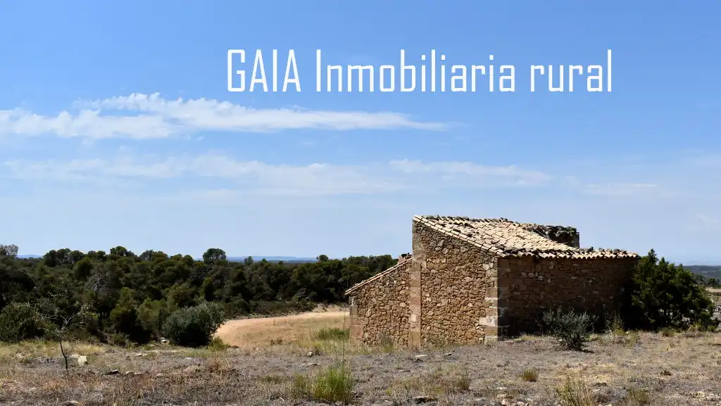 Casa rústica en venda a Maella, imagen 3