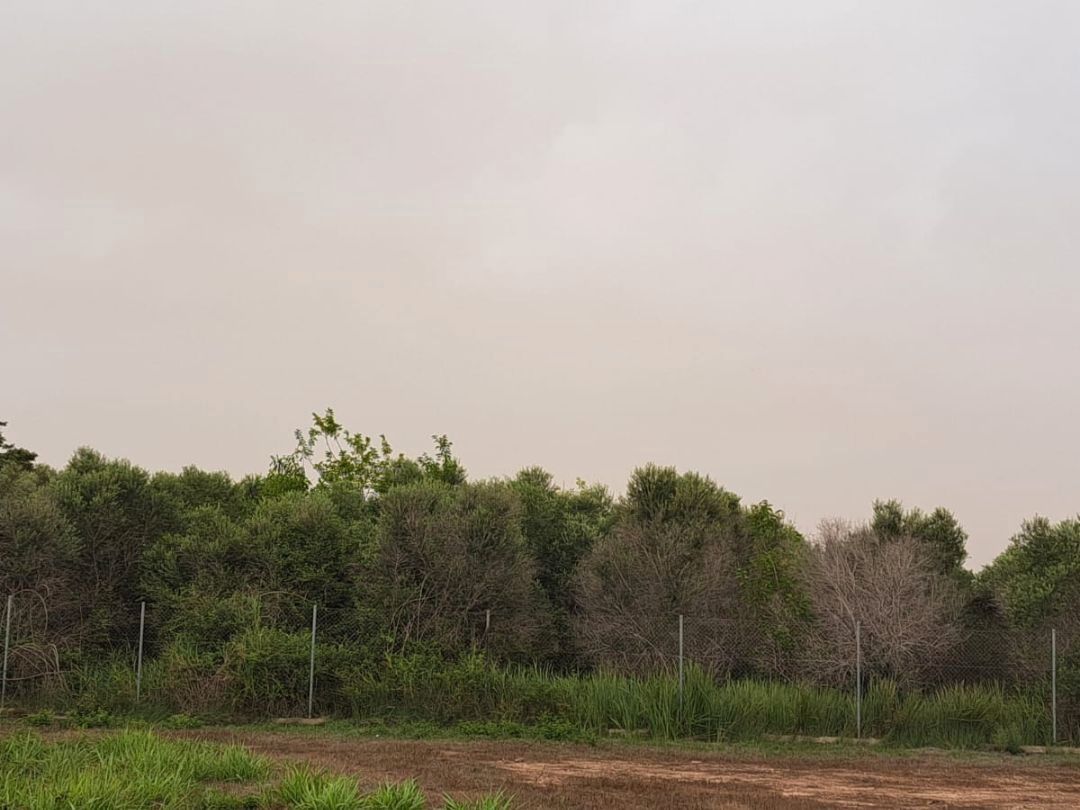 Vista exterior de Terreno en venta en  Murcia Capital