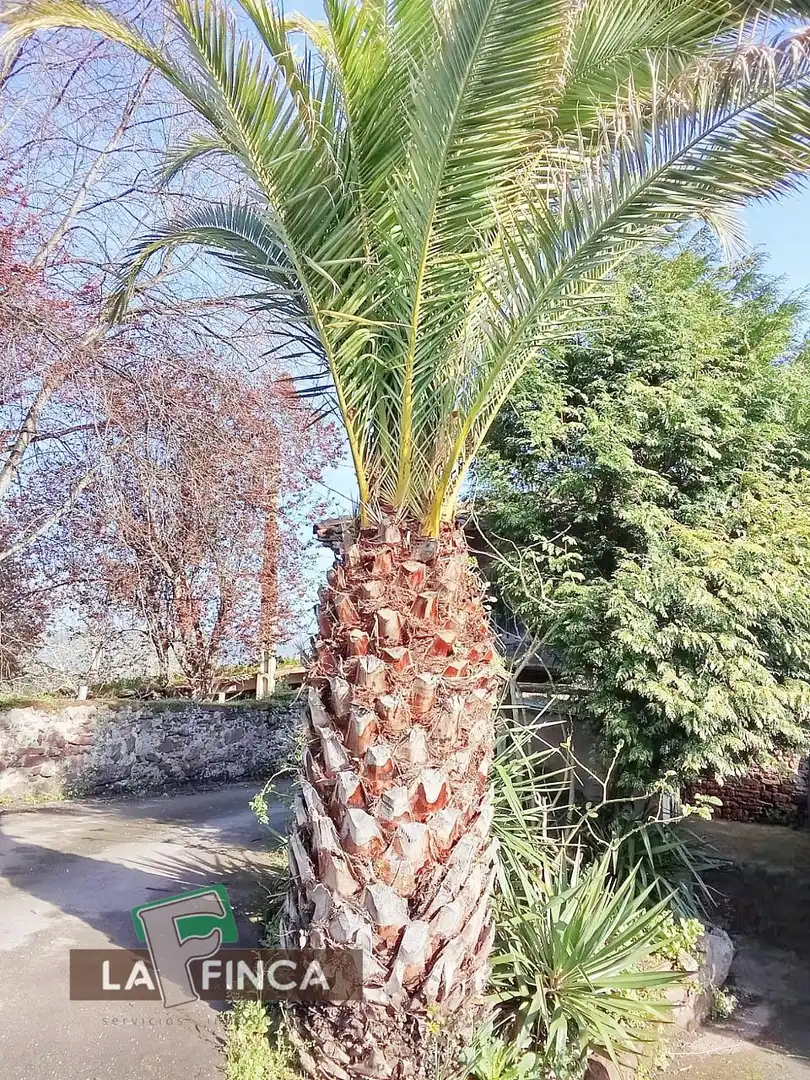 Jardí de Casa o xalet en venda en Villaviciosa amb Calefacció, Terrassa i Traster