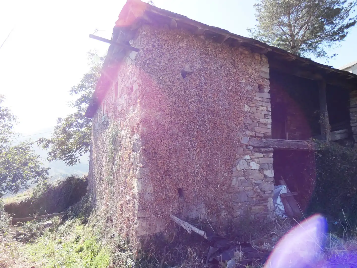 Houses for sale in Tineo