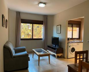 Sala d'estar de Apartament de lloguer en  Córdoba Capital amb Aire condicionat, Calefacció i Moblat