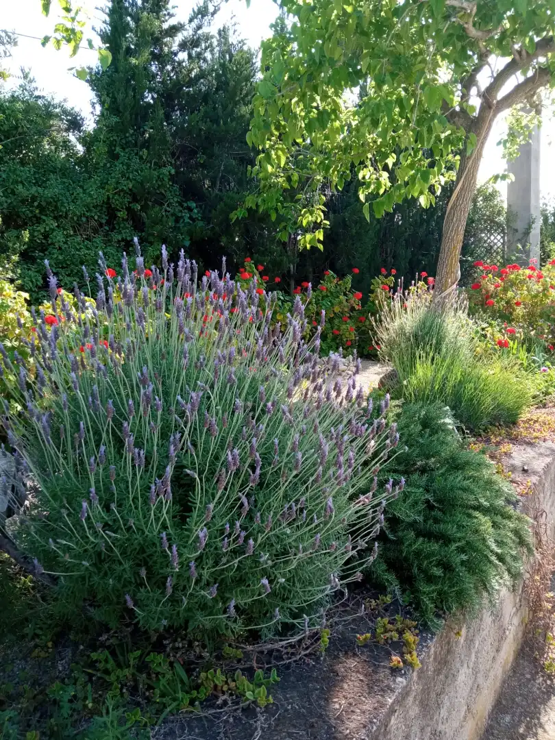 Jardí de Finca rústica en venda en Tortosa amb Aire condicionat, Calefacció i Jardí privat