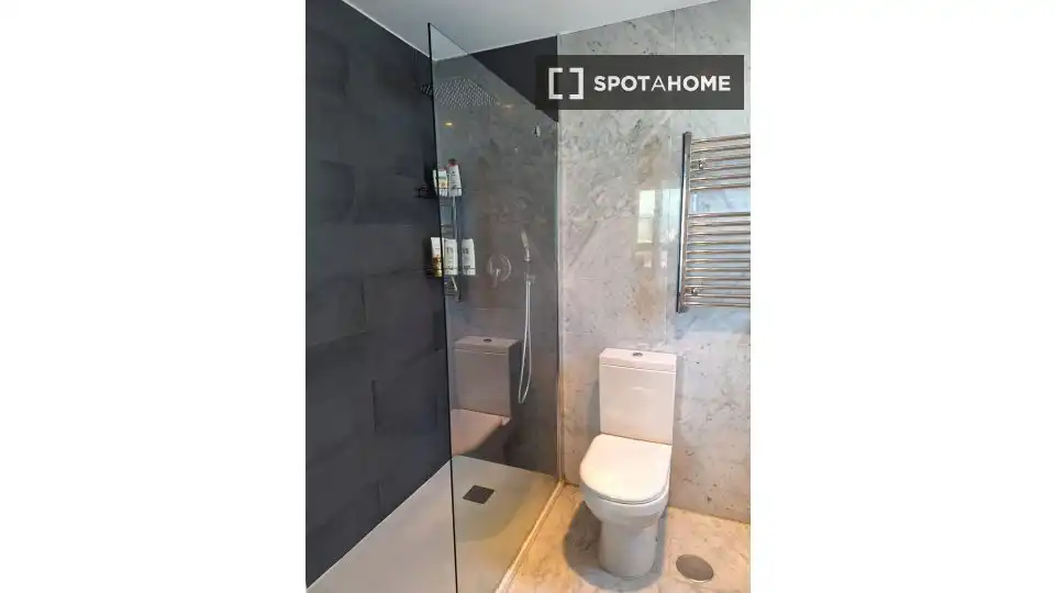 Bany de Apartament per a compartir en Benidorm amb Aire condicionat, Terrassa i Moblat
