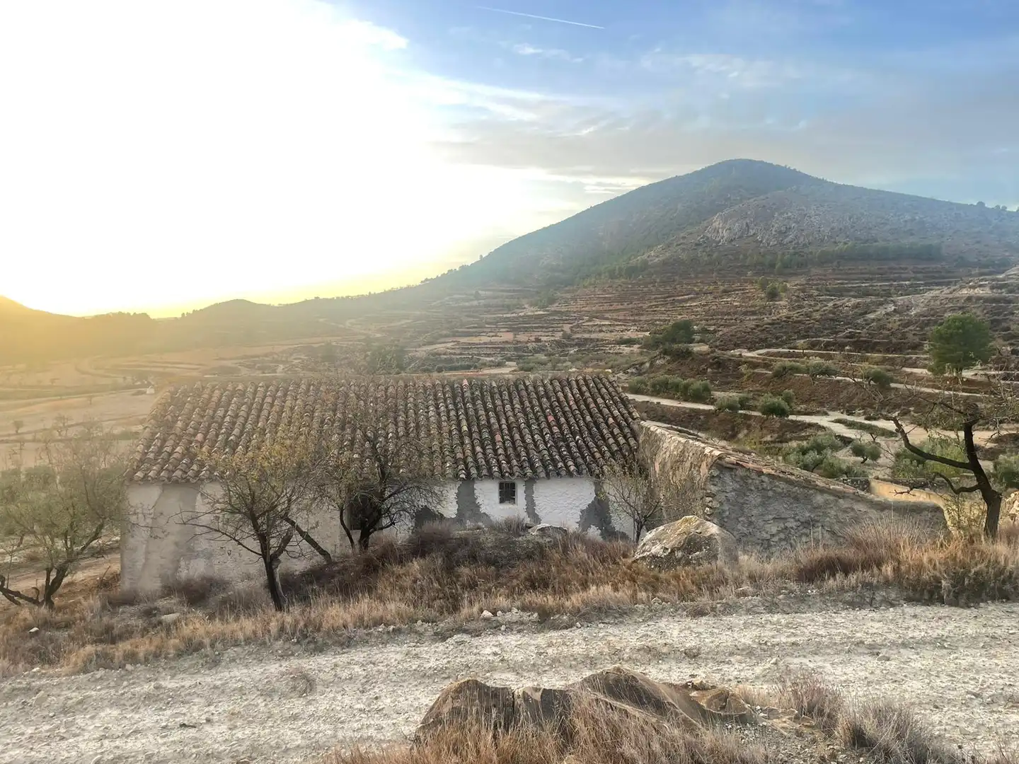 Vista exterior de Terreny en venda en Vélez-Blanco