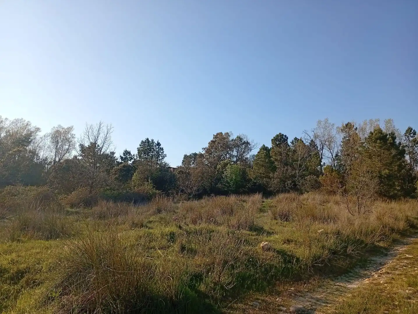 Terreni e lotti in vendita a Villanueva de la Vera, imagen 146