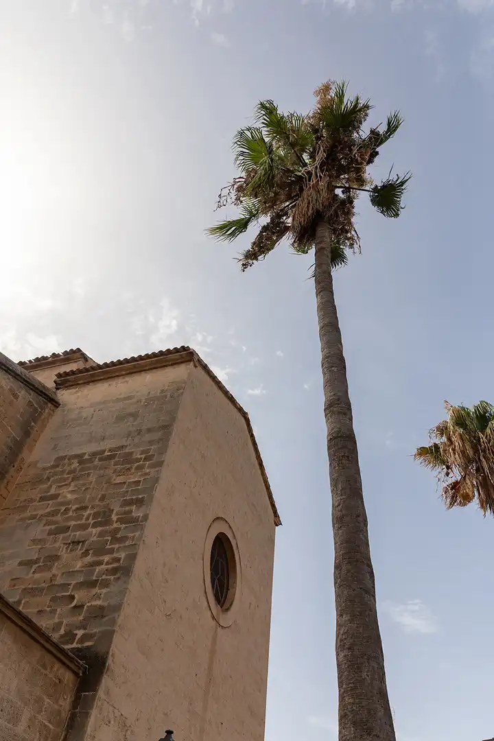 Vista exterior de Apartamento en venta en  Palma de Mallorca con Aire acondicionado, Terraza y Trastero