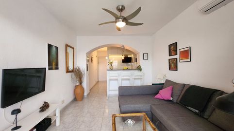 Estudio vista canal, image 4