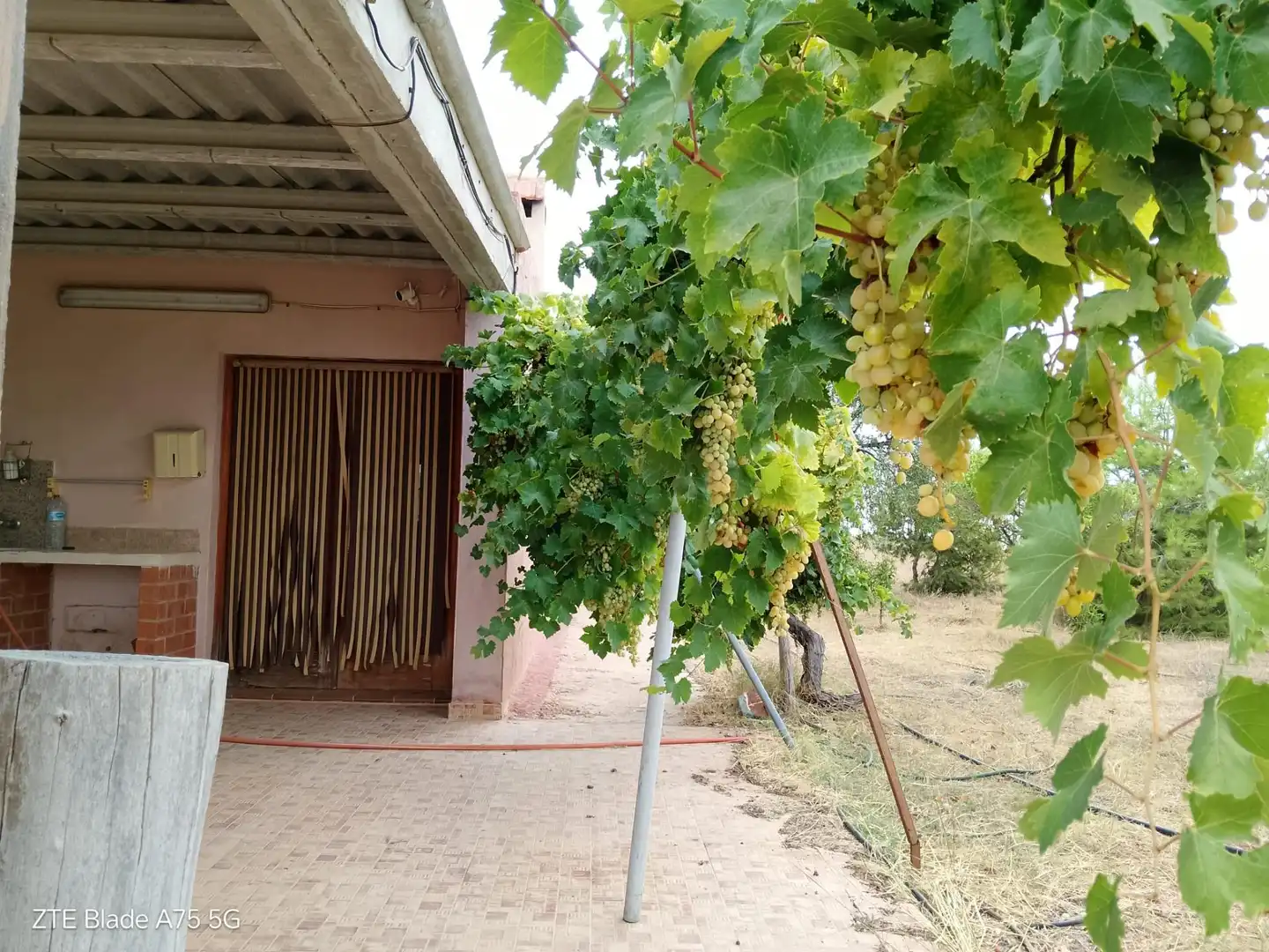 Casa rustica in vendita a CAMINO A CARTAGENA, LA MAGDALENA, imagen 9