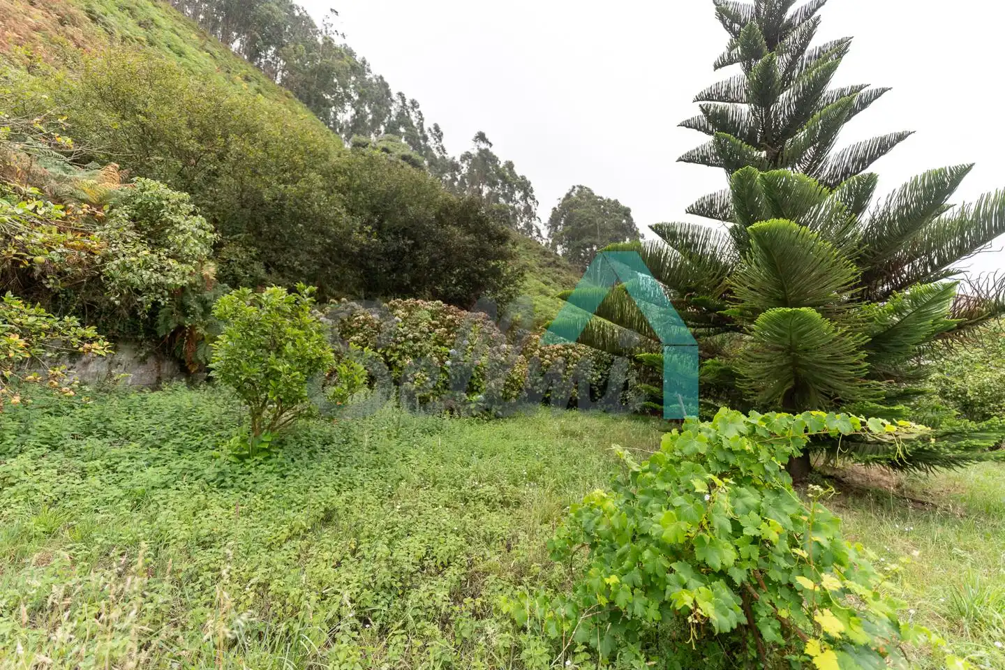 Residencial en venda en Soto del Barco