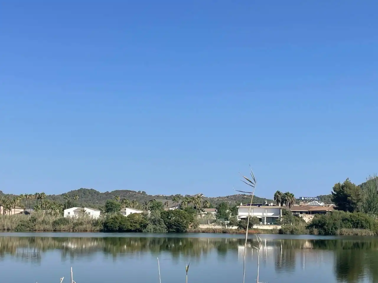 Terreny residencial en venda a Port d'Alcúdia - Platja d'Alcúdia, imagen 4