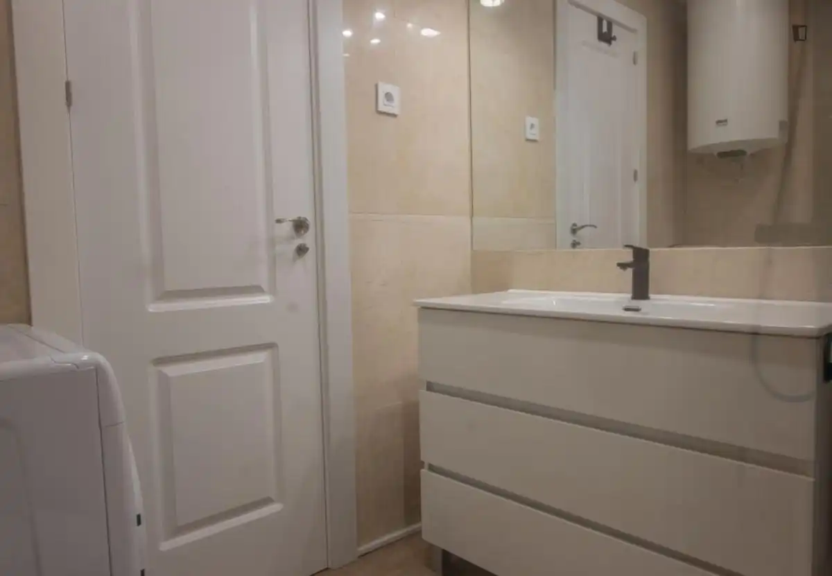 Bathroom of Apartments for rent in  Madrid Capital  with Air Conditioner, Furnished and Oven