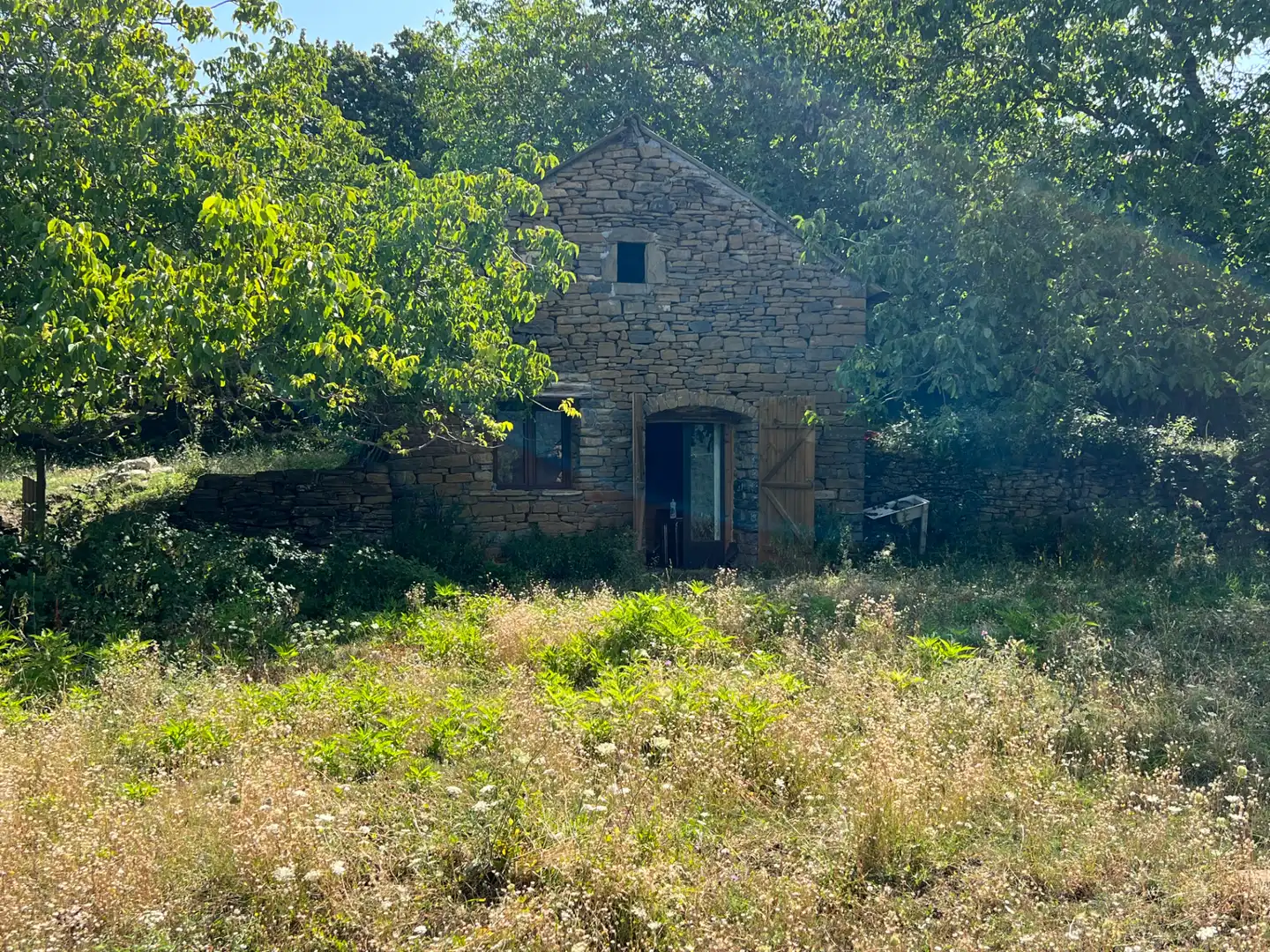 Exterior view of Land for sale in Broto