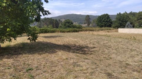 SE VENDE TERRENO EDIFICABLE EN TOMIÑO