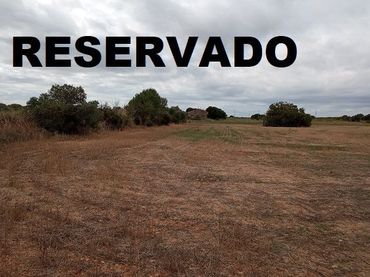 Terrenys i solars en venda a EL BASSAL