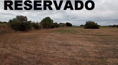 Parc. Rúst. en venta en Constanti.