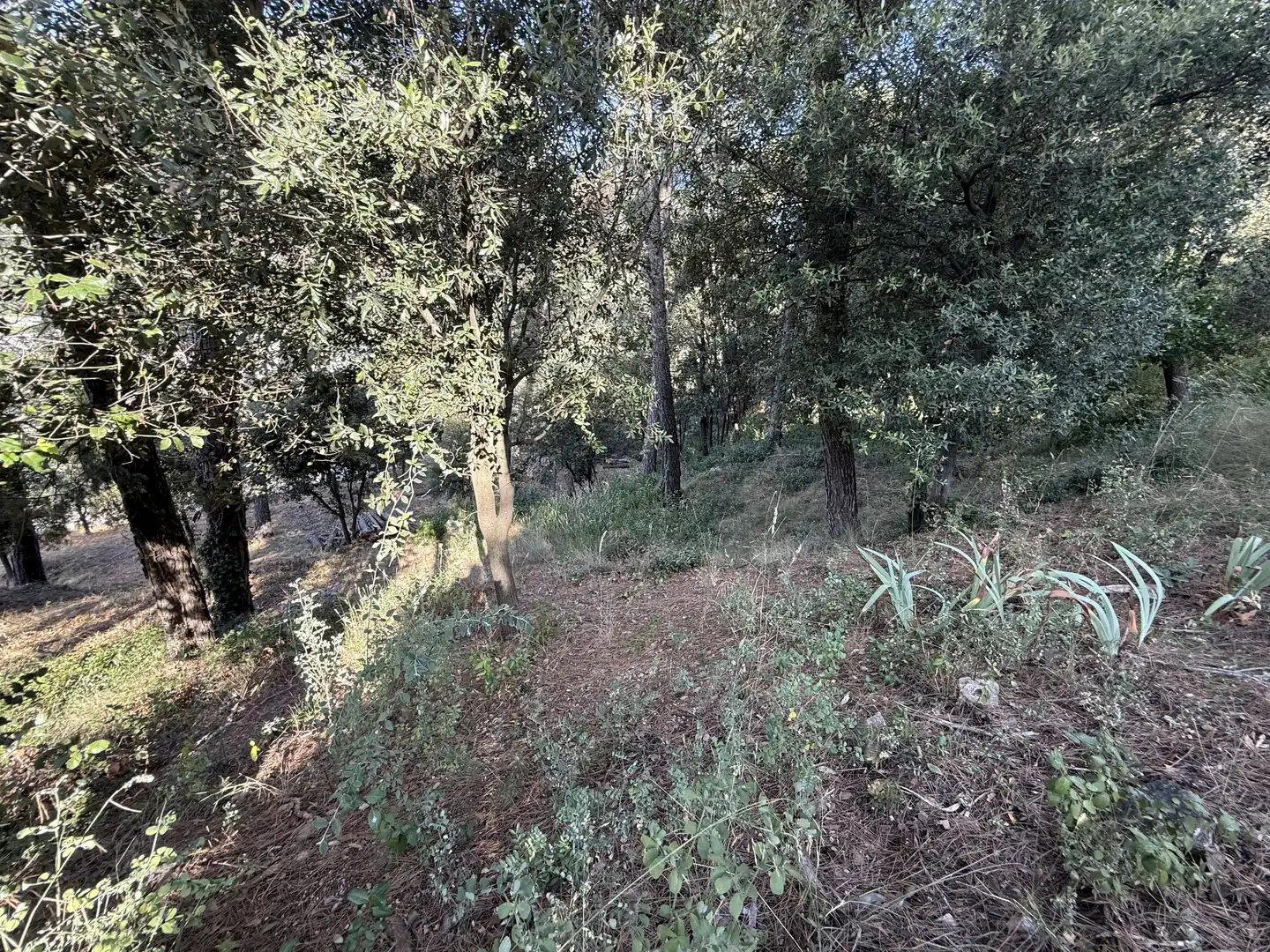 Terreno residencial en venta en d'Aiguafreda de Dalt 5, imagen 34
