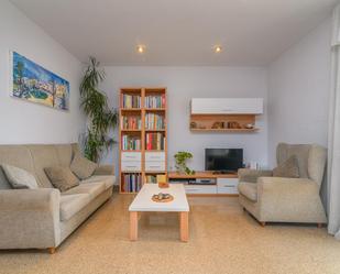 Living room of Single-family semi-detached for sale in Manresa  with Air Conditioner, Heating and Private garden