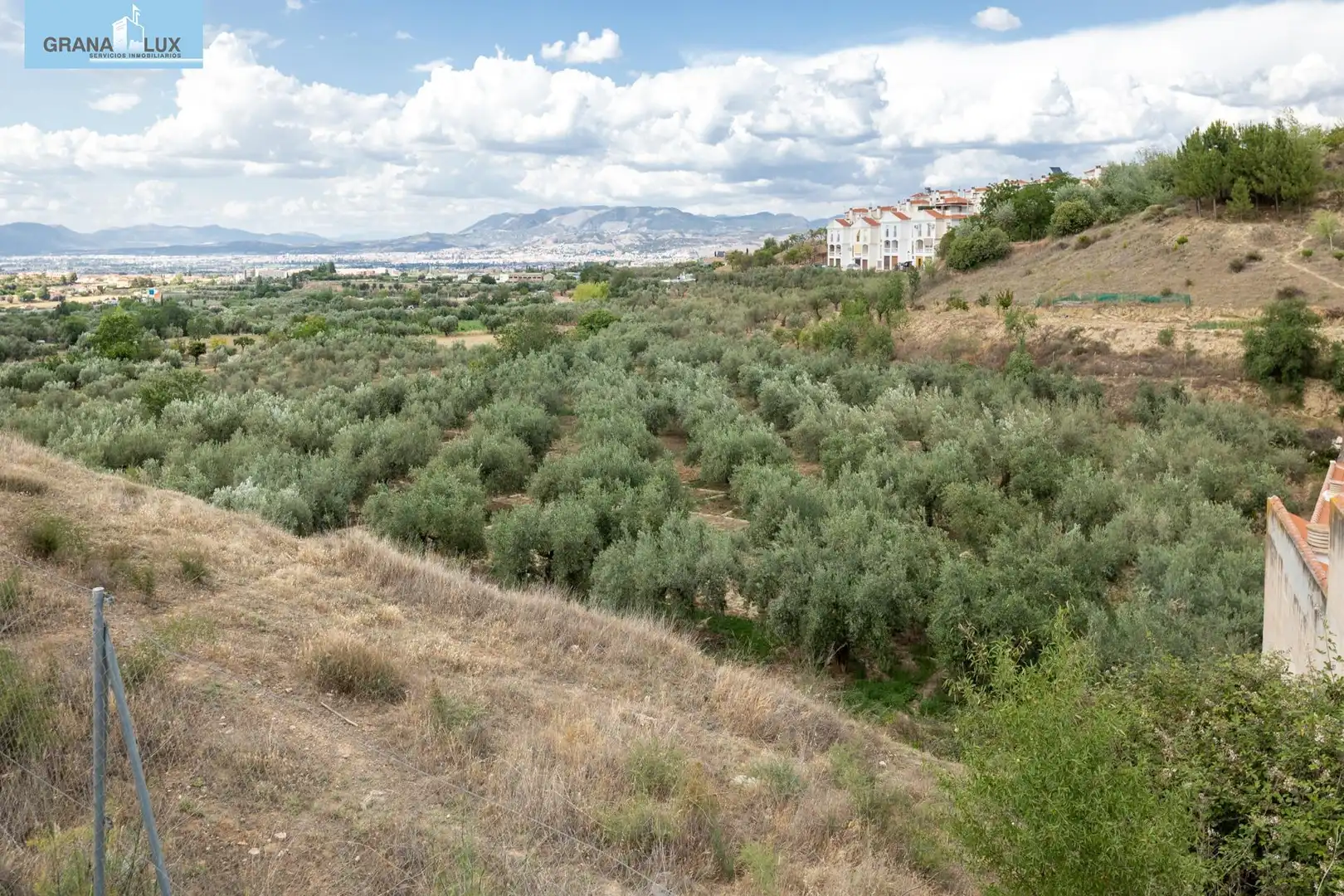Terreno rustico in vendita a Calle POL 1, PARC 176