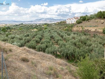 Rural land for sale in Calle POL 1, PARC 176