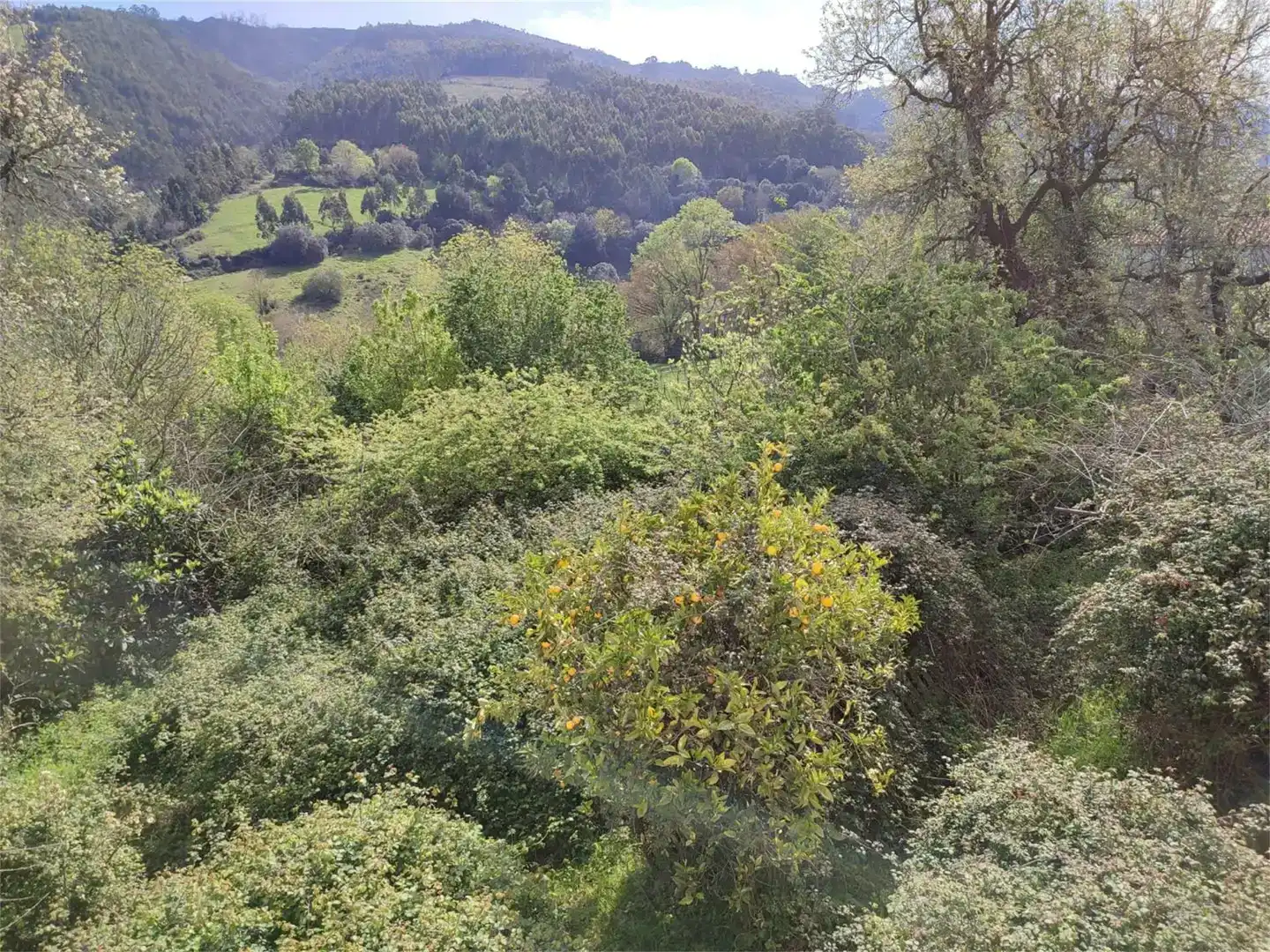 Country house zum Verkauf in Castro-Urdiales