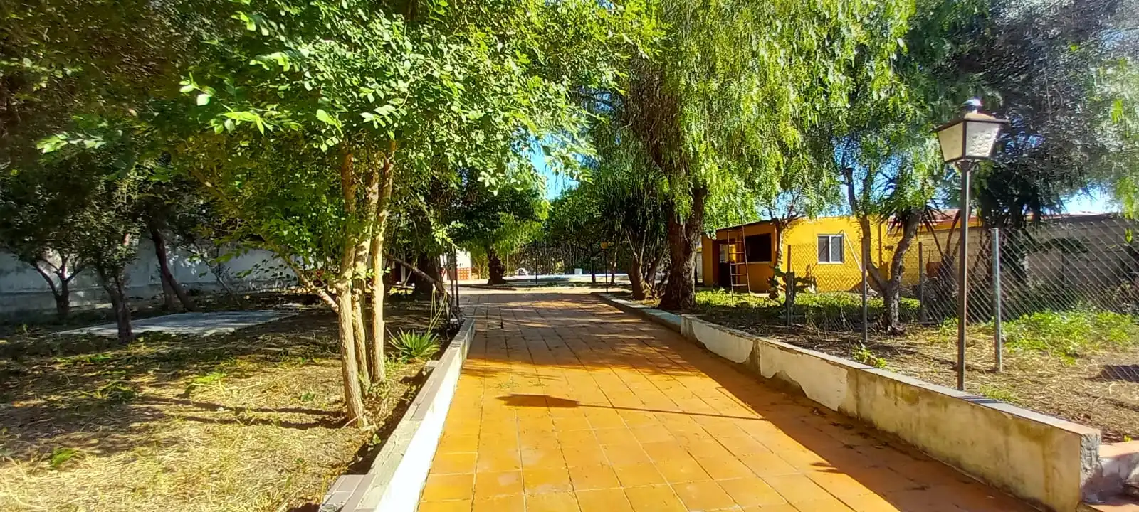 Vista exterior de Finca rústica en venta en Alcalá de Guadaira con Aire acondicionado, Calefacción y Jardín privado