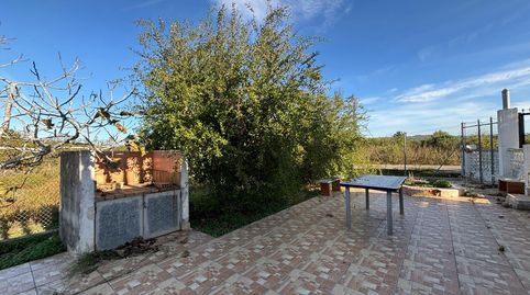 Foto 3 de Finca rústica en venta en Carcaixent, Valencia