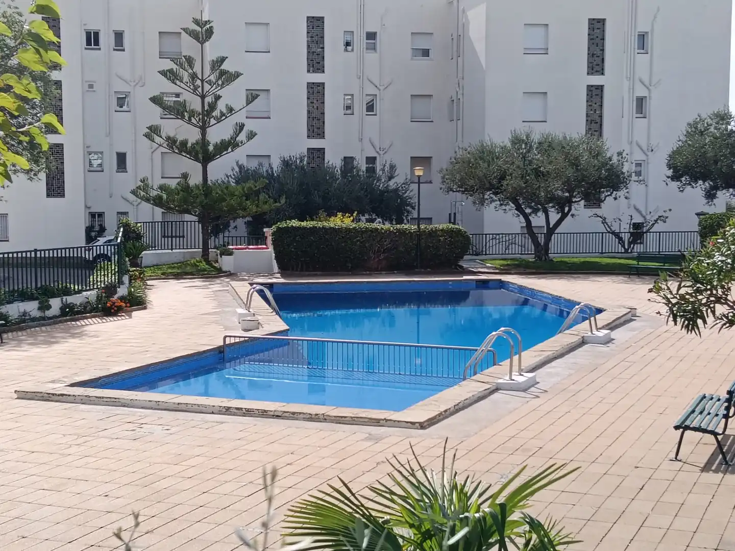 Swimming pool of Flat for sale in Els Grecs - Mas Oliva