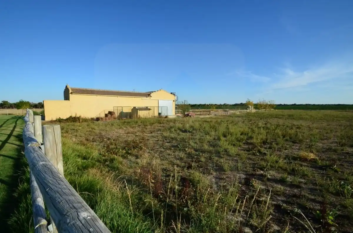 Finca rústica en venta en EXTRARRADIO, Palacios de Goda