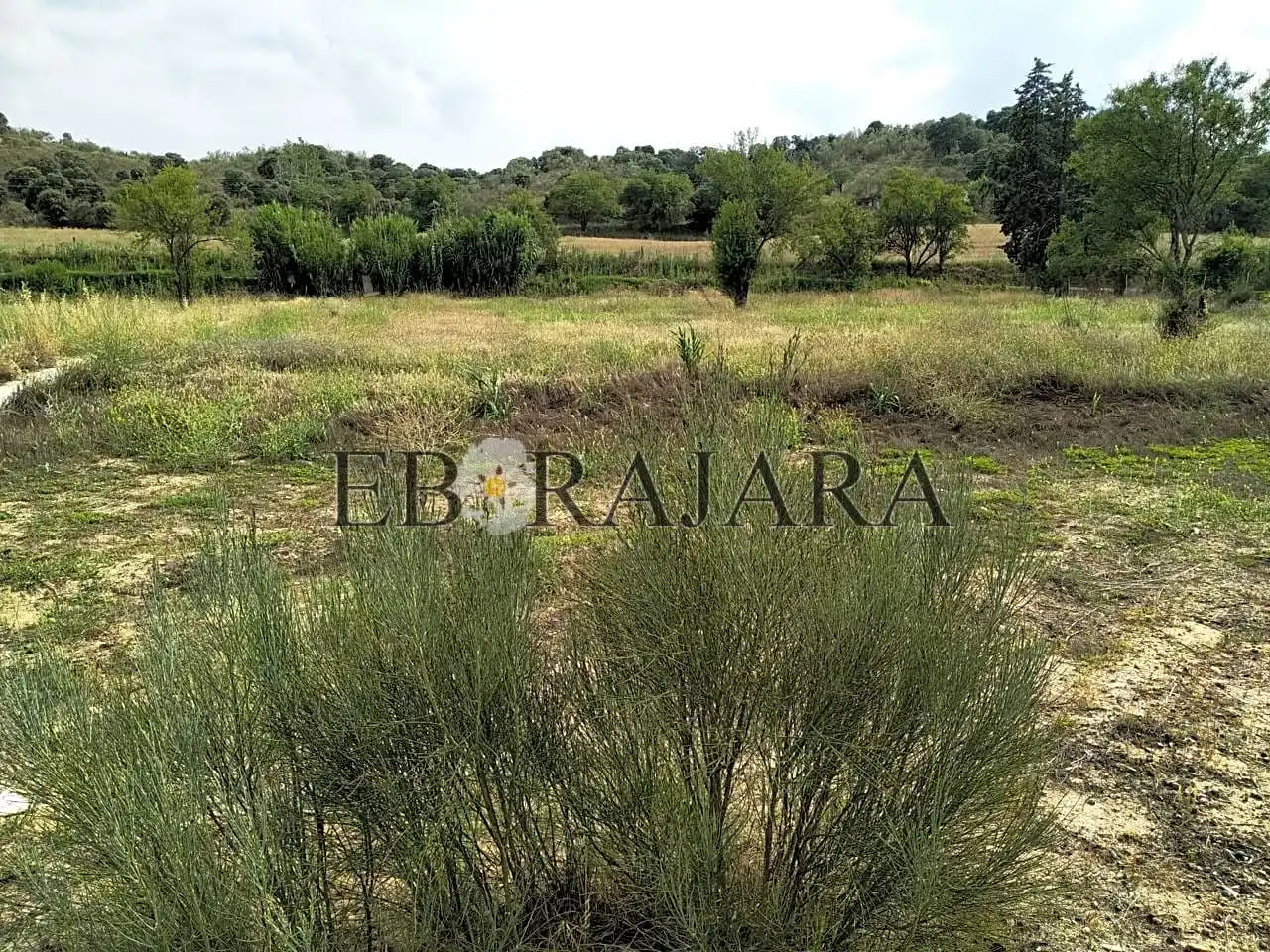Rural land for sale in Santa Paula, imagen 3