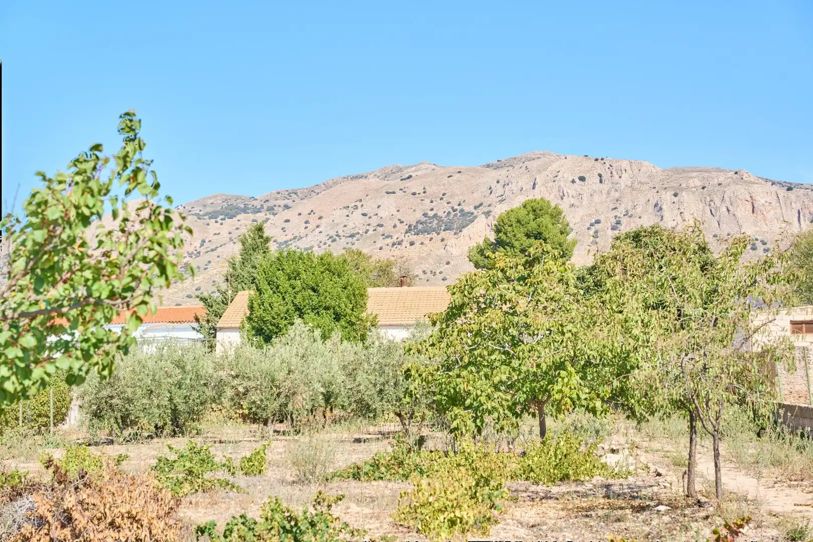 Casa o chalet en venta en Cúllar con Calefacción, Jardín privado y Terraza